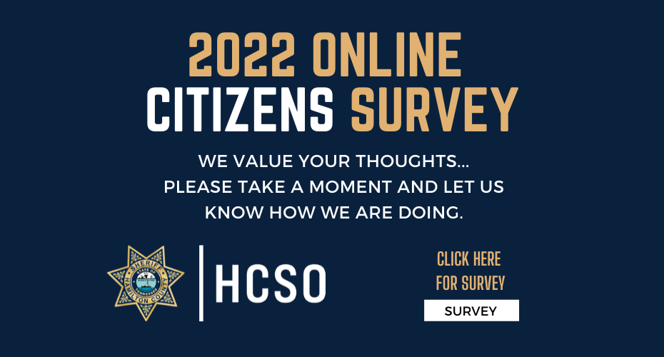 Citizen's Survey